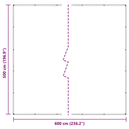 Plant Cover Transparent 5 x 6 m PVC