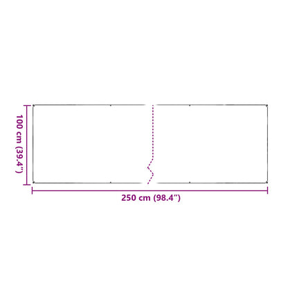 Plant Cover Transparent 2.5 x 1 m PVC