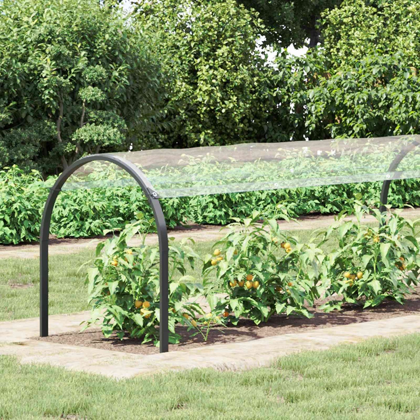 Plant Cover Transparent 10 x 1.5 m PVC