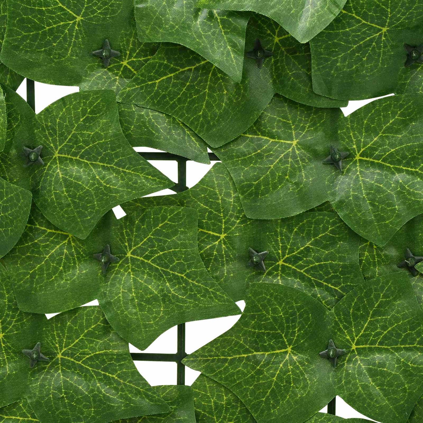 Balcony Screen with Leaves Green 200 x 75 cm