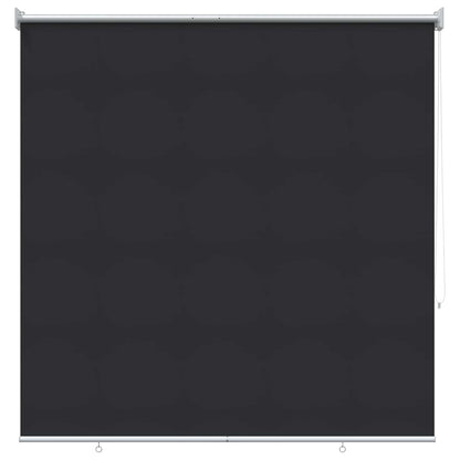 Outdoor Roller Blind UV Protection Anthracite Polyester