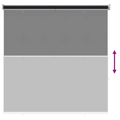 Outdoor Roller Blind UV Protection Anthracite Polyester