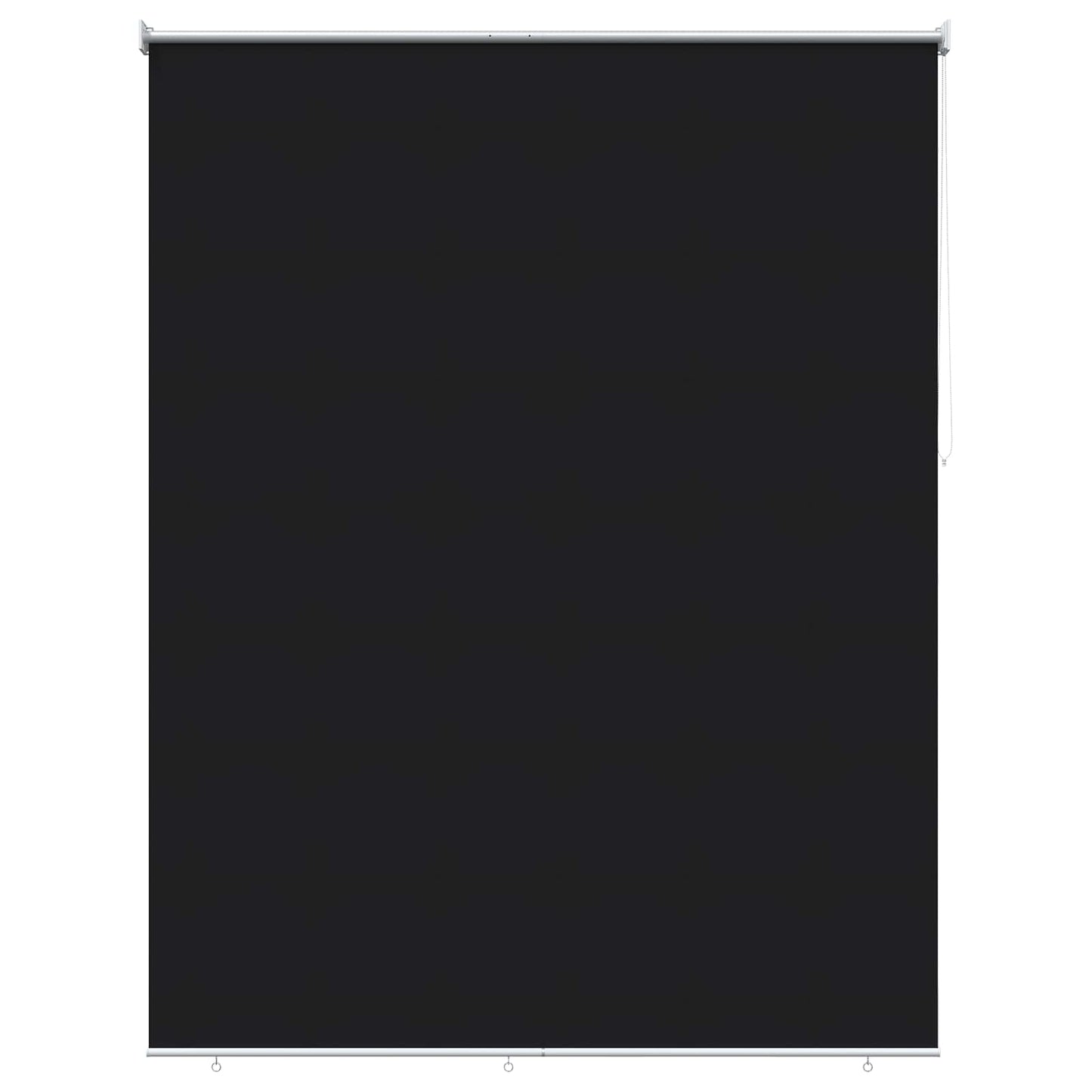 Outdoor Roller Blind UV Protection Black 205 x 140 cm (W x H)