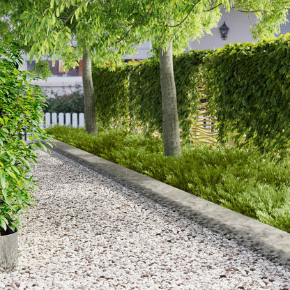 Lawn Edging 10 pcs 103 x 25 cm Steel Silver