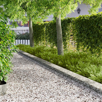 Lawn Edging 30 pcs 102 x 15 x 4 cm Steel Silver