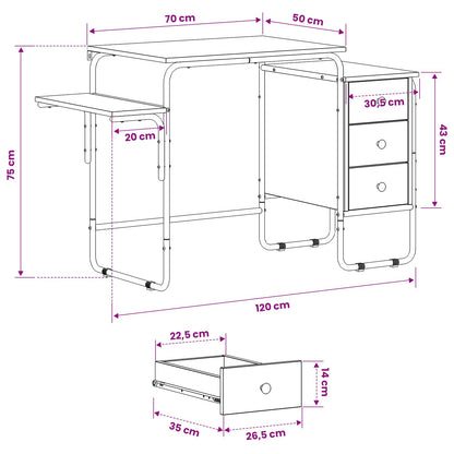 Desk with Storage Black Oak 120 x 50 x 75 cm