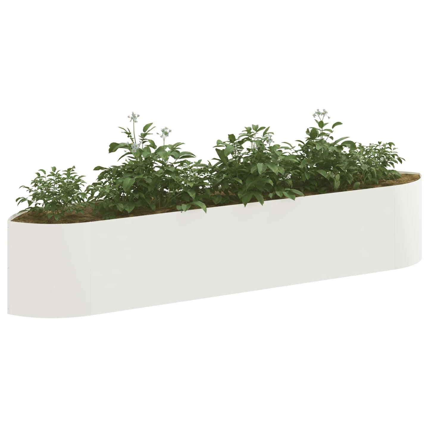 Raised Garden Bed White 220 x 40x 40 cm Steel