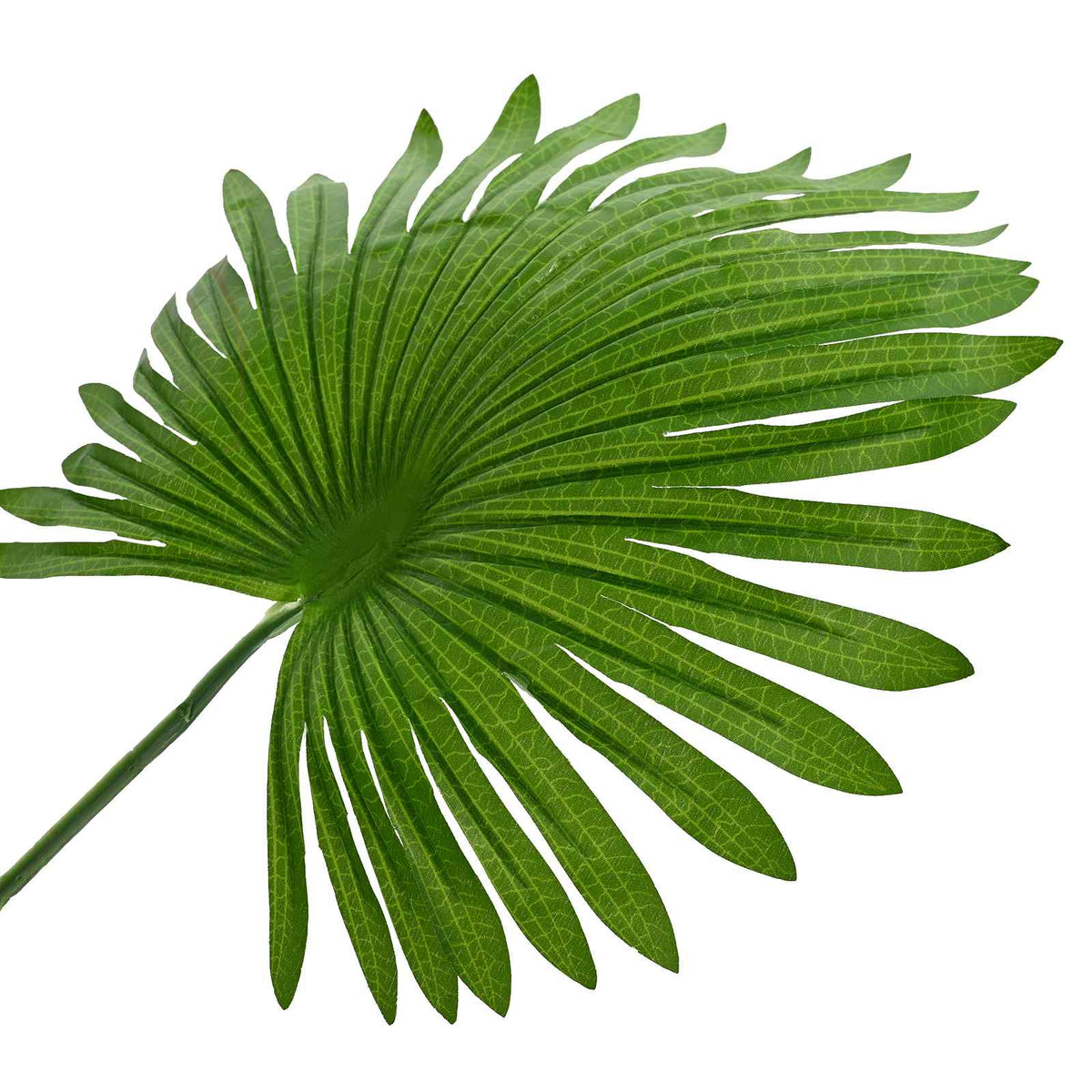 Artificial Fan Palm Tree Green 60 x 25 x 170 cm