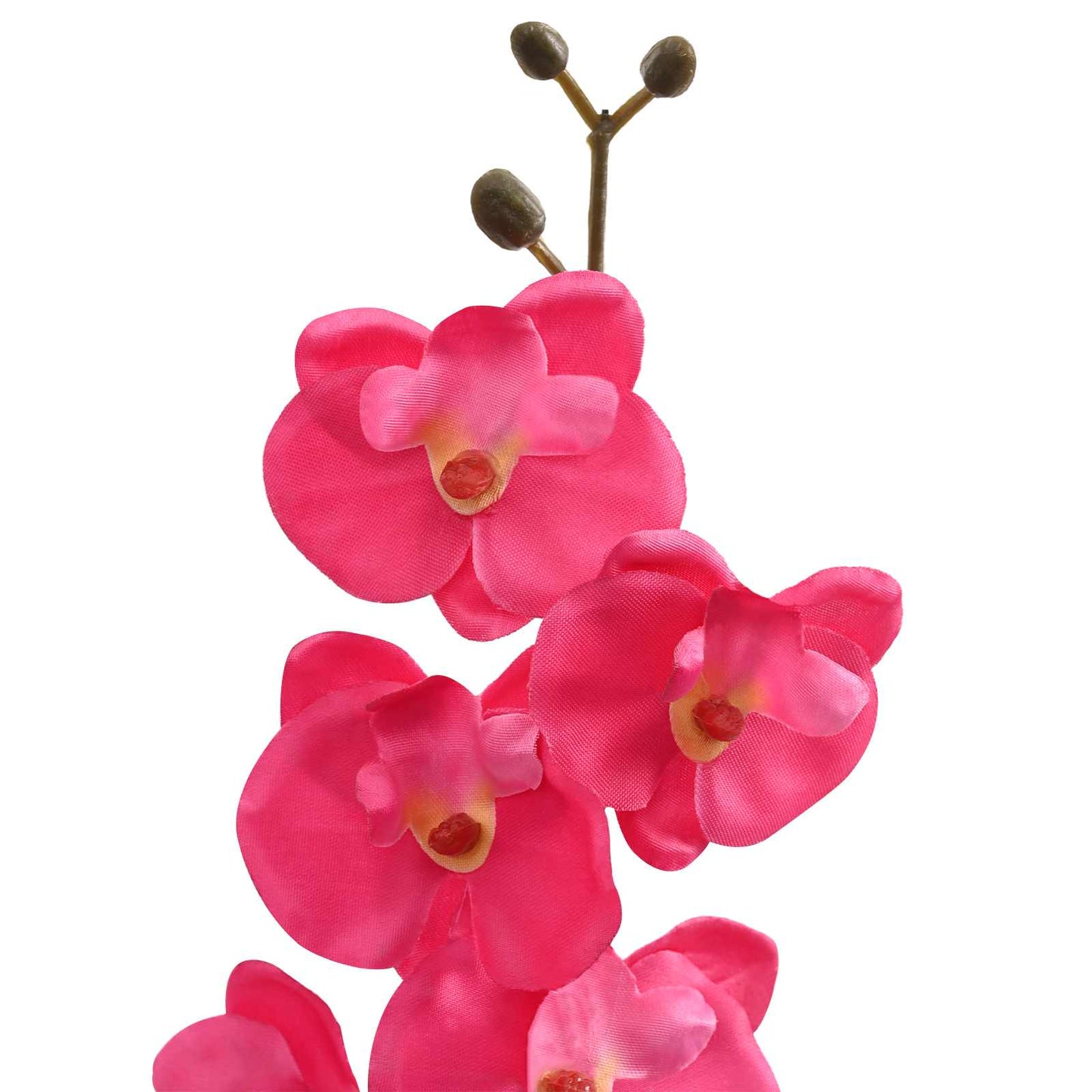 Artificial Orchid Plant Red 36 x 10 x 30 cm Fabric, PE and PEVA