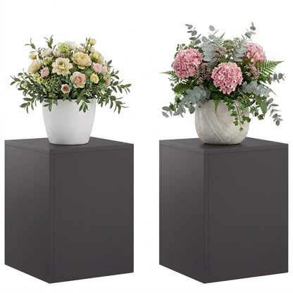 Plant Stand 2 pcs Black 30 x 30 x 40 cm Steel