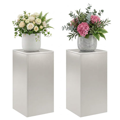 Plant Stand 2 pcs Silver 30 x 30 x 60 cm Steel