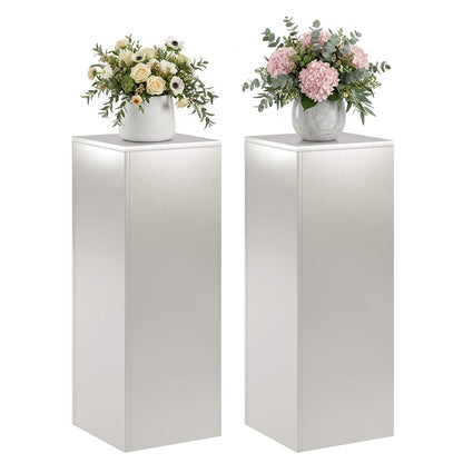Plant Stand 2 pcs Silver 30 x 30 x 80 cm Steel