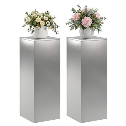 Plant Stand 2 pcs Silver 30 x 30 x 80 cm Stainless Steel
