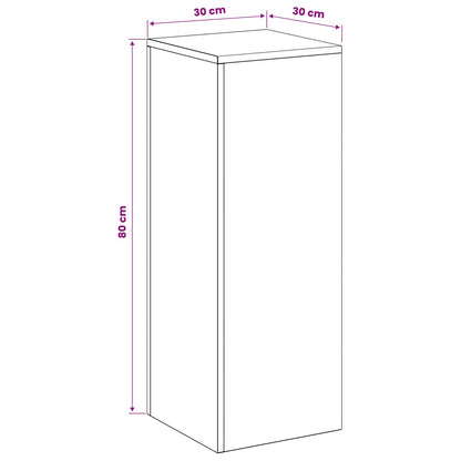 Plant Stand 2 pcs Rusty 30 x 30 x 80 cm Weathering Steel