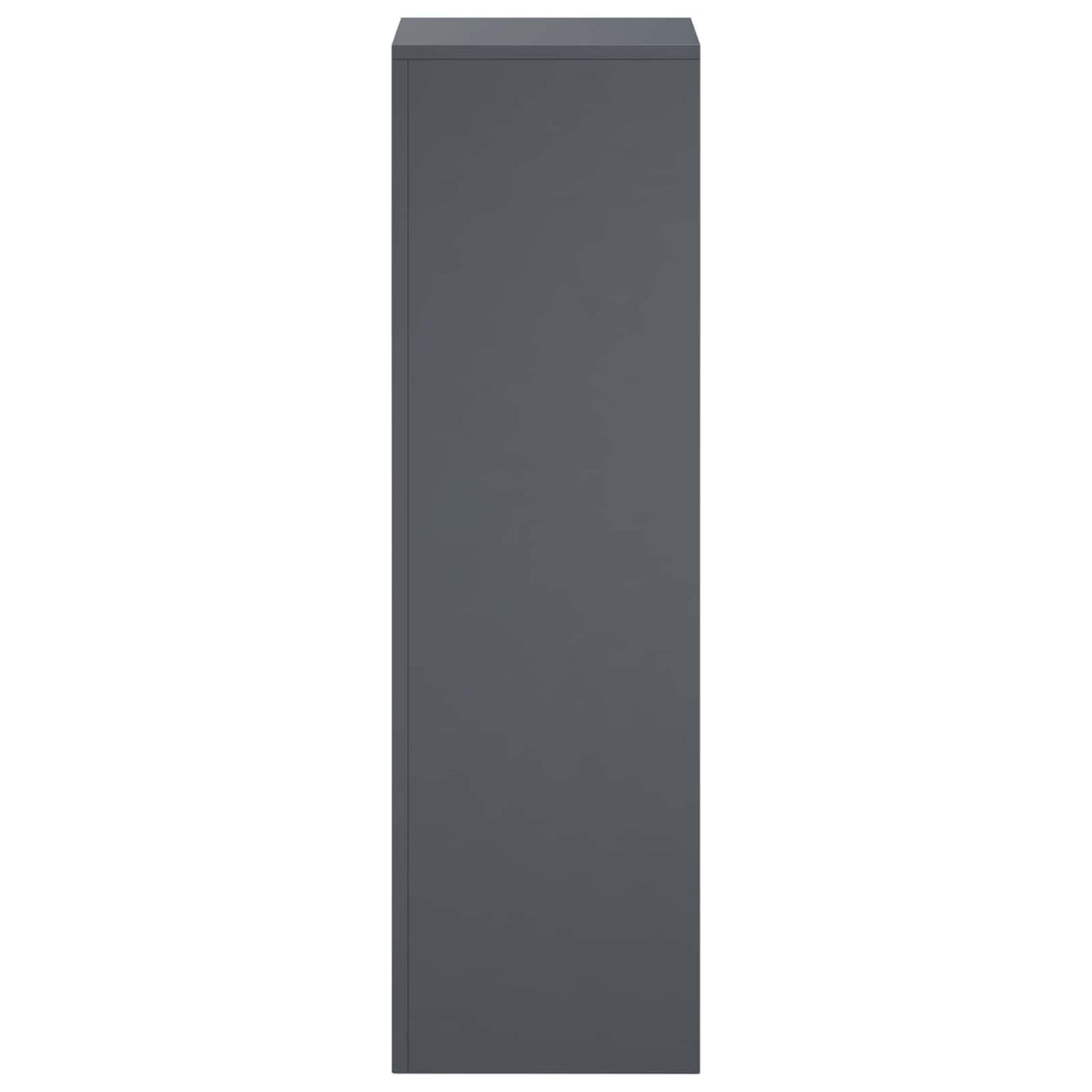 Plant Stand Anthracite 30 x 30 x 100 cm Stainless Steel