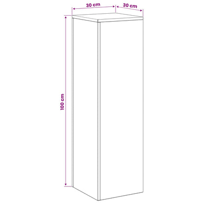 Plant Stand 2 pcs Silver 30 x 30 x 100 cm Steel