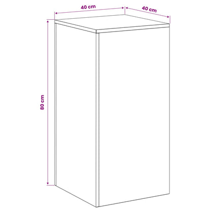 Plant Stand 2 pcs Silver 40 x 40 x 80 cm Stainless Steel