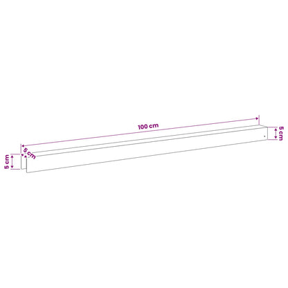 Garden Cover Profile 2 pcs 100 x 5 x 5 cm Stainless Steel