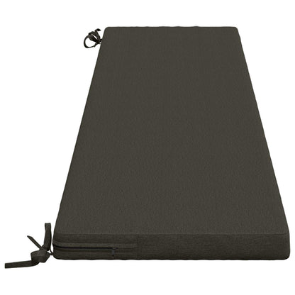 2-Piece Bench Cushions SOEST 2 pcs 100% Polyester Anthracite
