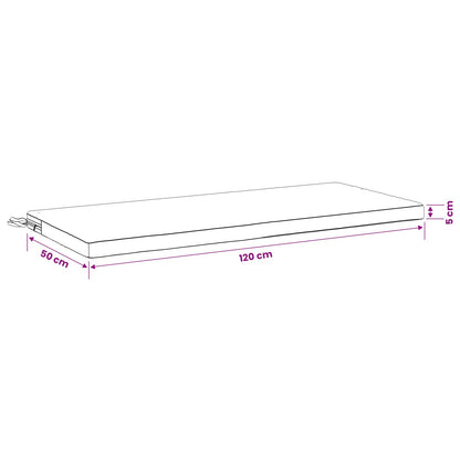 2-Piece Bench Cushions SOEST 2 pcs 100% Polyester White