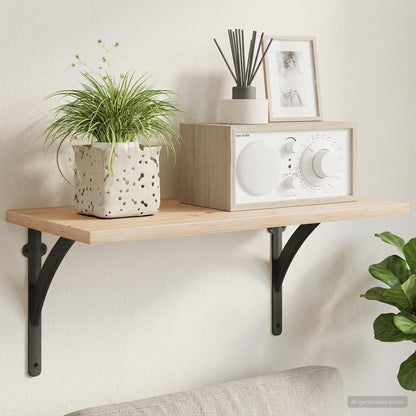 Wall Shelf Brackets 12 pcs Black 10 x 10 x 3 cm Steel
