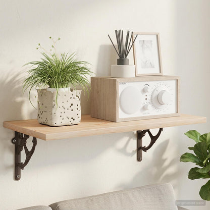 Wall Shelf Brackets 2 pcs Antique Brown 21 x 21 x 3.5 cm Steel