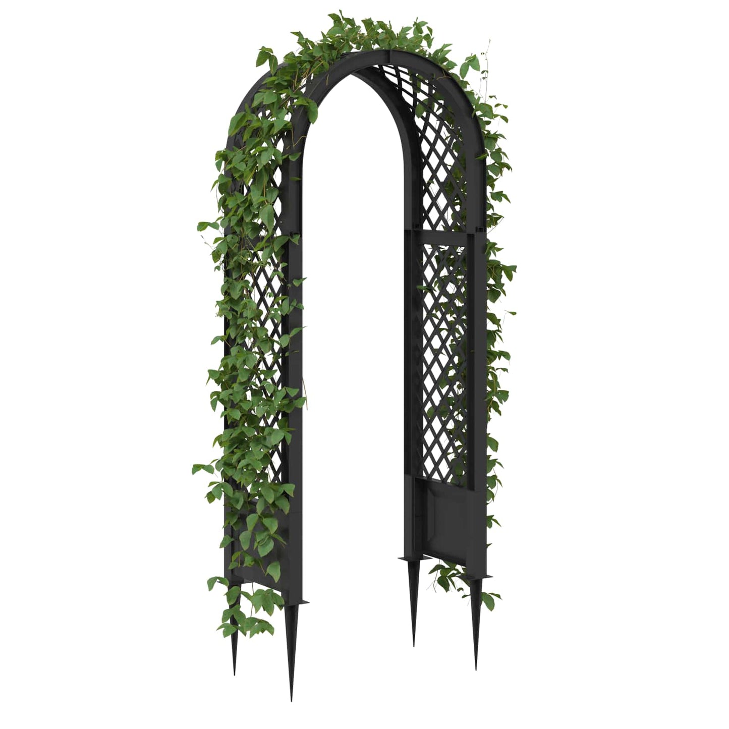 Rose Arch with Spikes Anthracite 97 x 43 x 218 cm PP