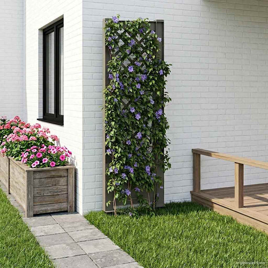 Trellis with Spike PP Grey