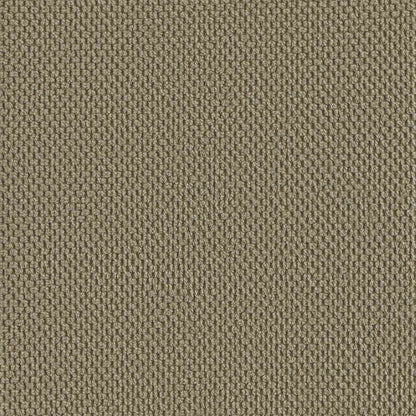 Armchair Khaki Velvet