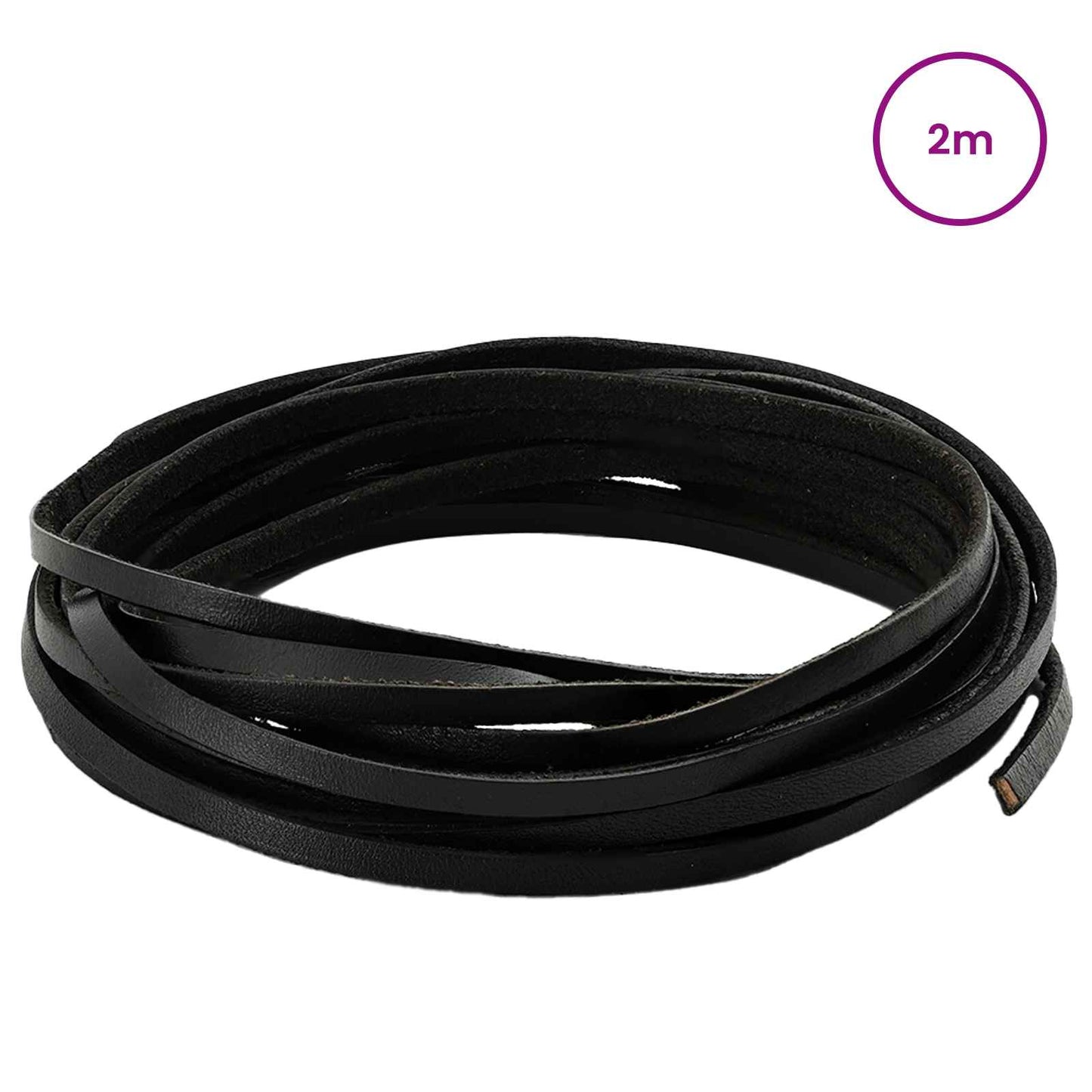 Leather Strap 1 Black 200 x 0.4 cm Leather