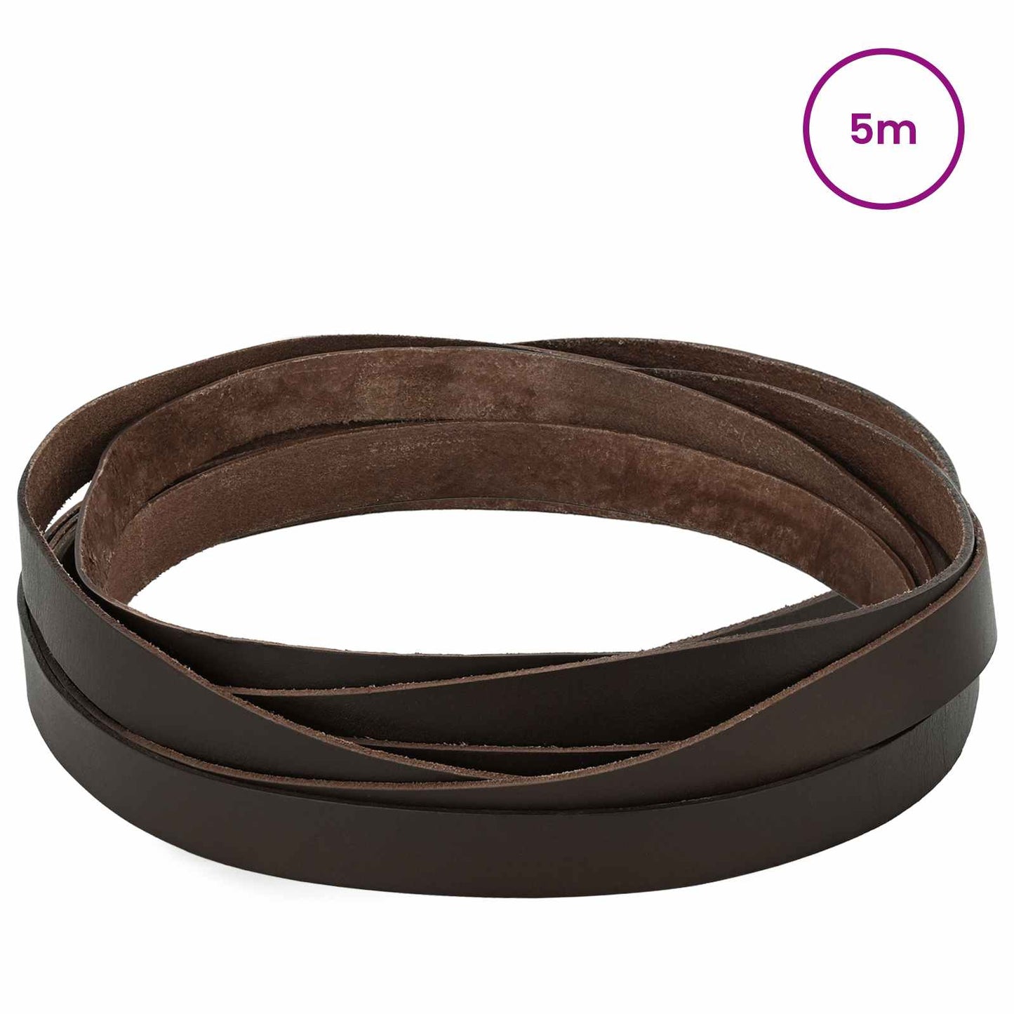 Leather Strap 1 Dark Brown 500 x 1 cm Leather