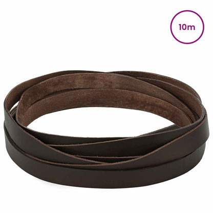 Leather Strap 1 Dark Brown 1000 x 2 cm Leather