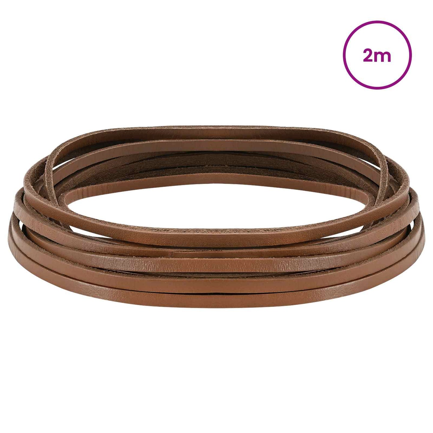 Leather Strap 1 Brown 200 x 0.3 cm Leather