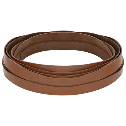 Leather Strap 1 Brown 500 x 1 cm Leather