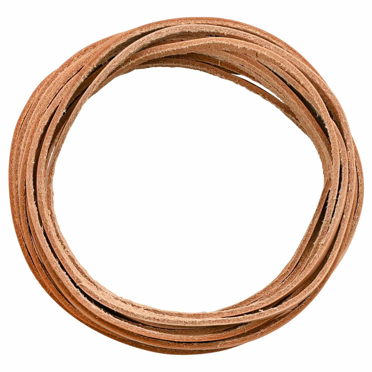 Leather Strap 1 Light Brown 1000 x 0.5 cm Leather