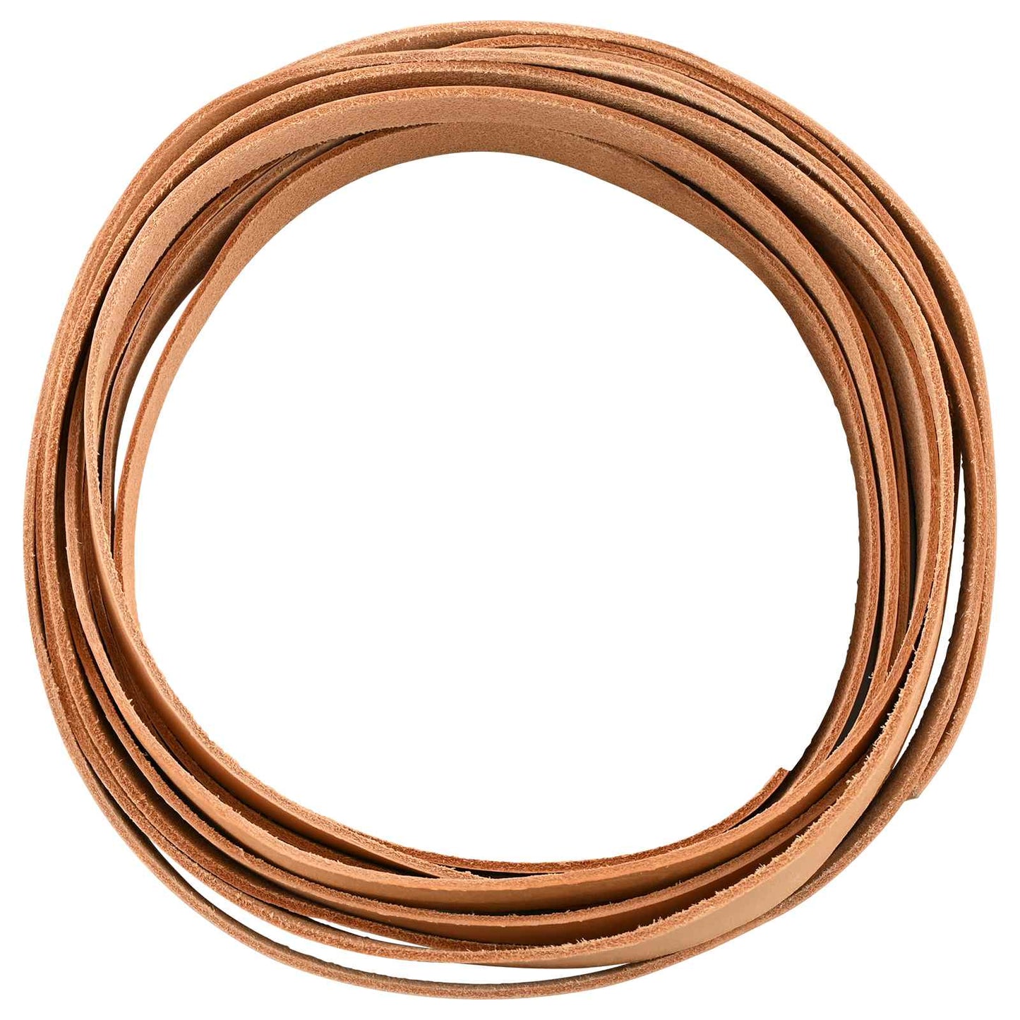 Leather Strap 1 Light Brown 1000 x 1 cm Leather