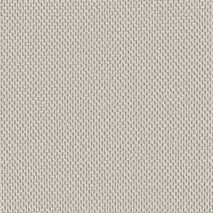 XXL Armchair Beige Velvet