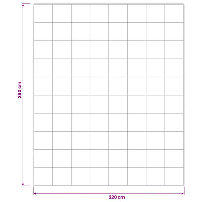 Duvet and Pillow Set 3 pcs 220x260 cm Summer 200 GSM Wool White