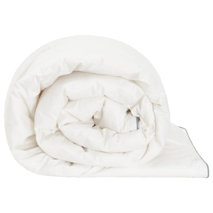Duvet FULDA 240 x 260 cm Summer 100 GSM 90% Goose Down White
