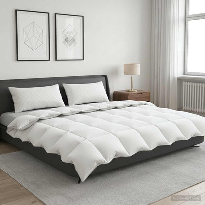 Duvet FULDA 200 x 200 cm Winter 300 GSM 90% Goose Down White