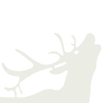 Garden Stake 46 x 30 cm Steel White