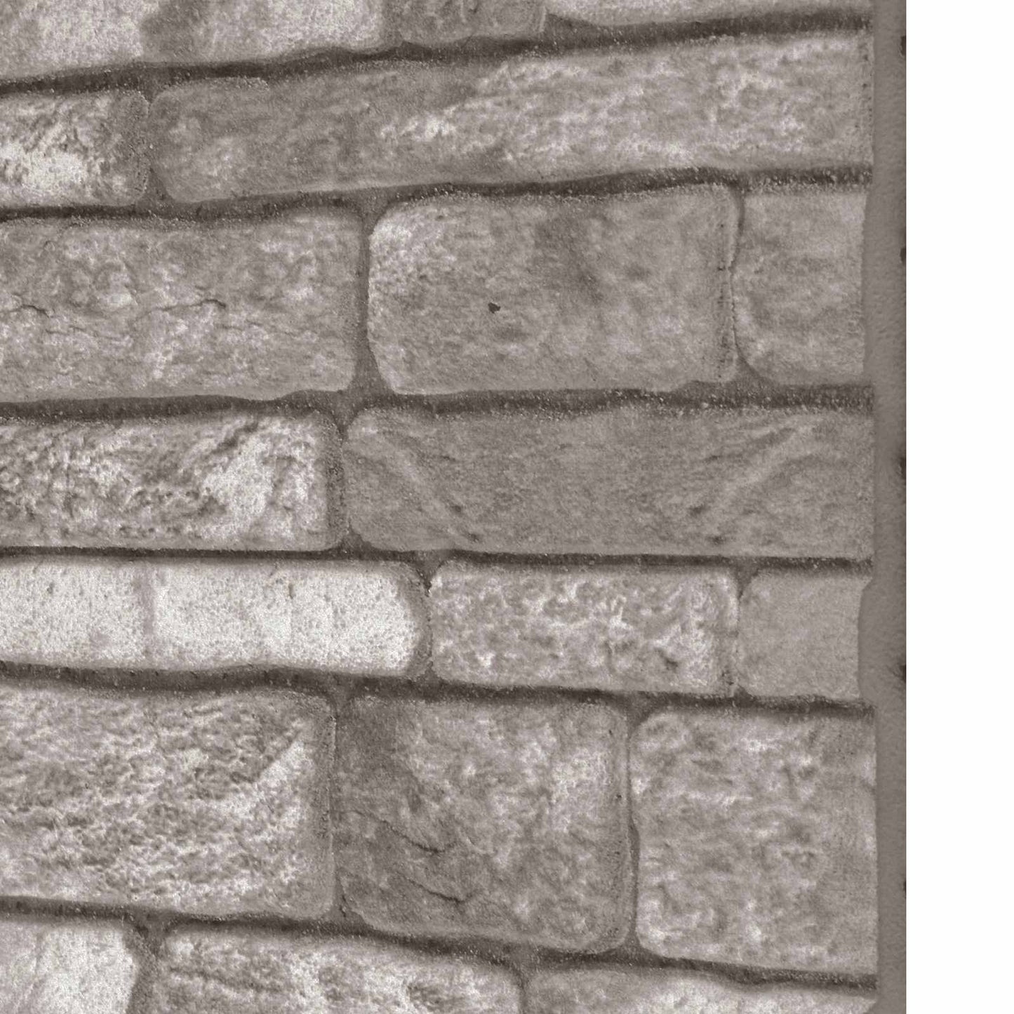 Wall Panels 10 pcs Dark Grey 100 x 50 cm EPS Foam