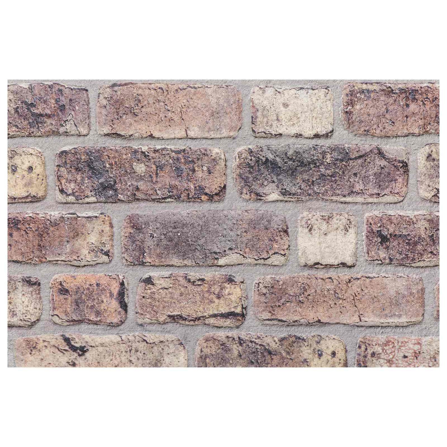 Wall Panels 10 pcs 100 x 50 cm Dark Brown EPS Foam