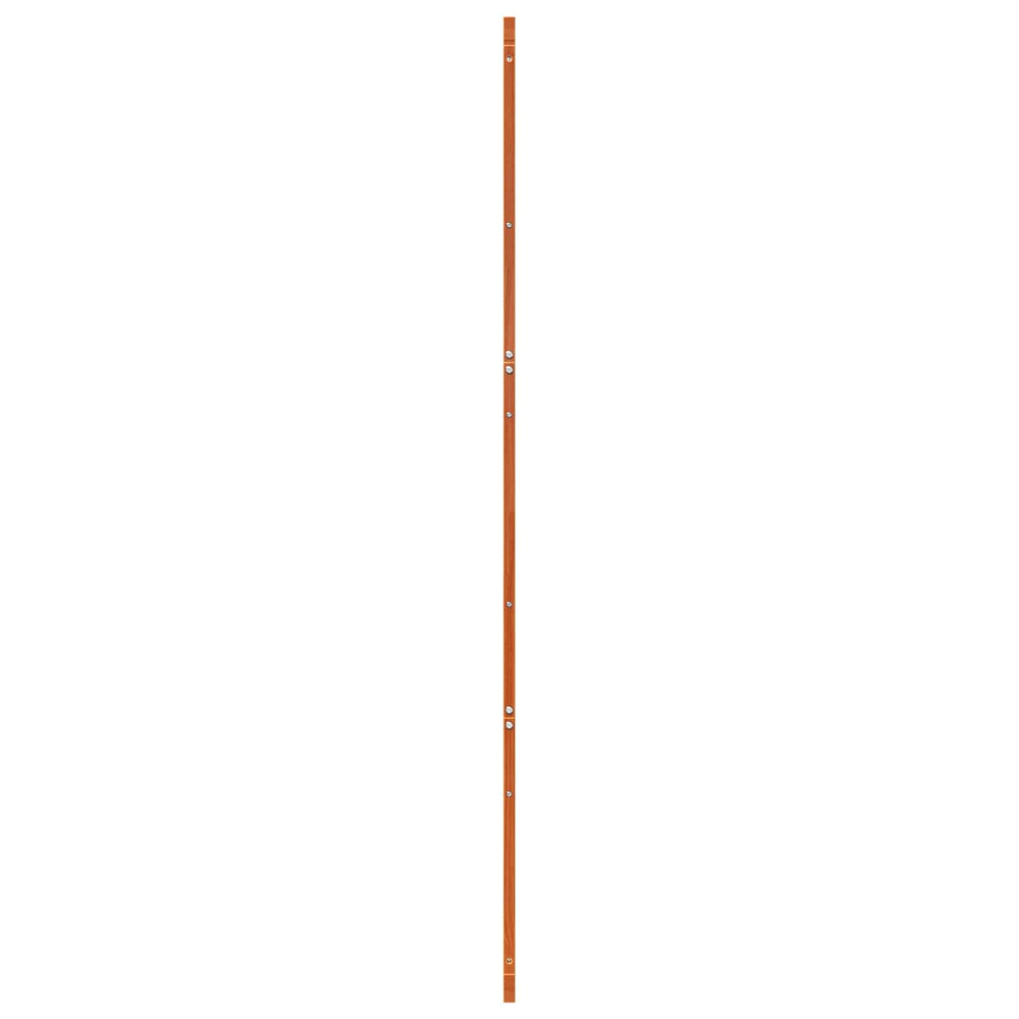 Barn Door Wax brown 100 x 2.5 x 208 cm Solid Pine Wood