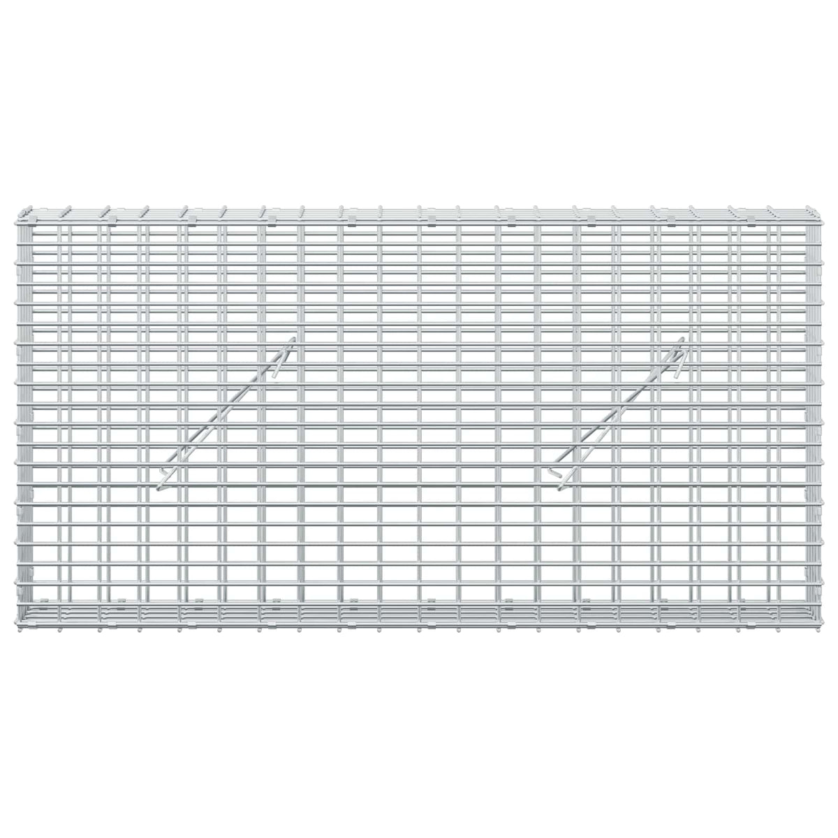 Gabion with 3.5 mm Wire and 5x2.5 cm Mesh 100x10x50 cm
