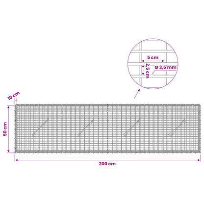 Gabion with 3.5 mm Wire and 5x2.5 cm Mesh 200x10x50 cm