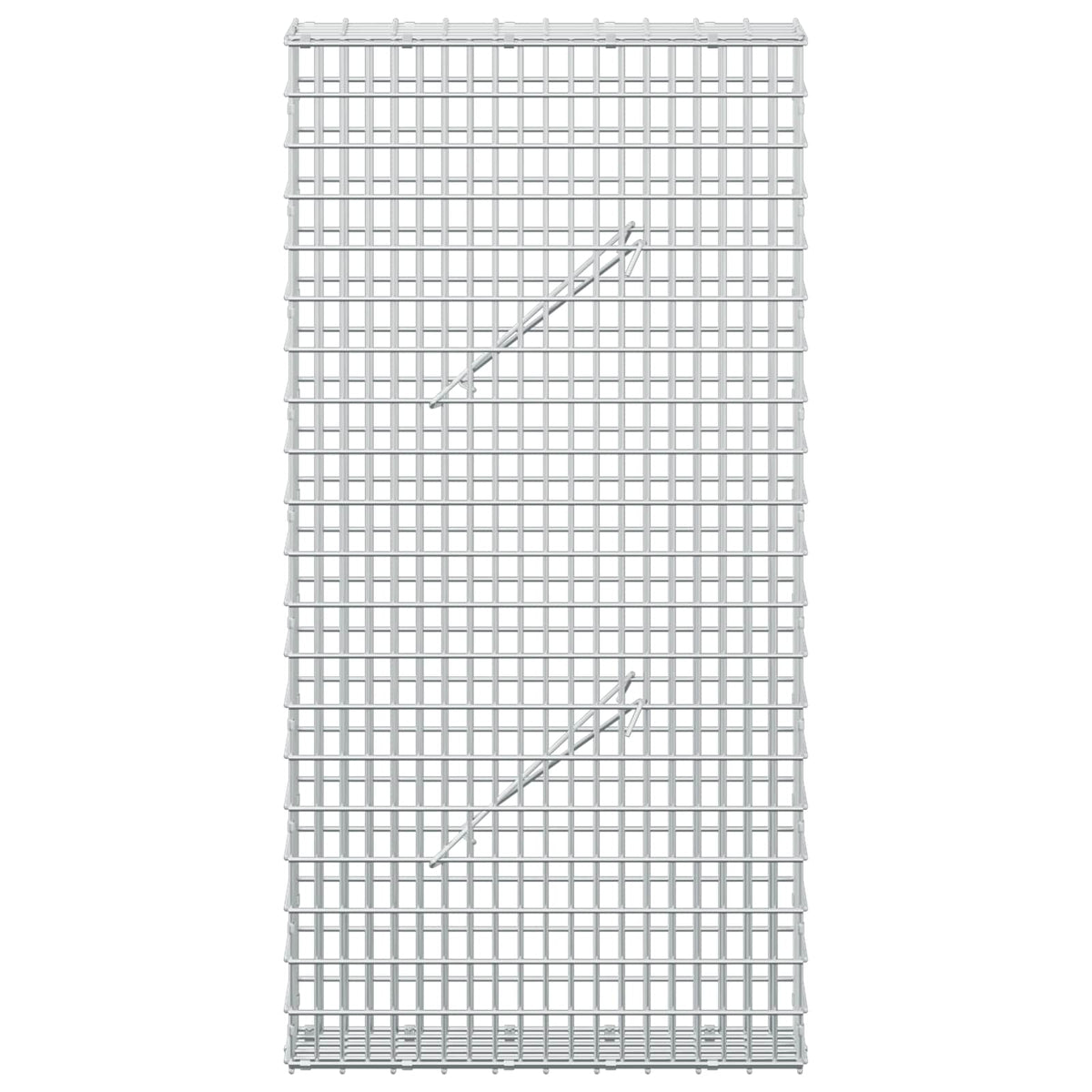 Gabion with 3.5 mm Wire and 5x2.5 cm Mesh 50x10x100 cm