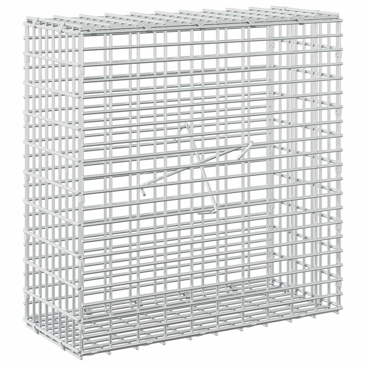 Gabion with 3.5 mm Wire and 5x2.5 cm Mesh 50x20x50 cm