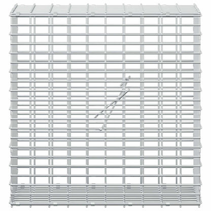 Gabion with 3.5 mm Wire and 5x2.5 cm Mesh 50x20x50 cm
