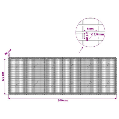 Gabion with 3.5 mm Wire and 5x2.5 cm Mesh 300x20x100 cm